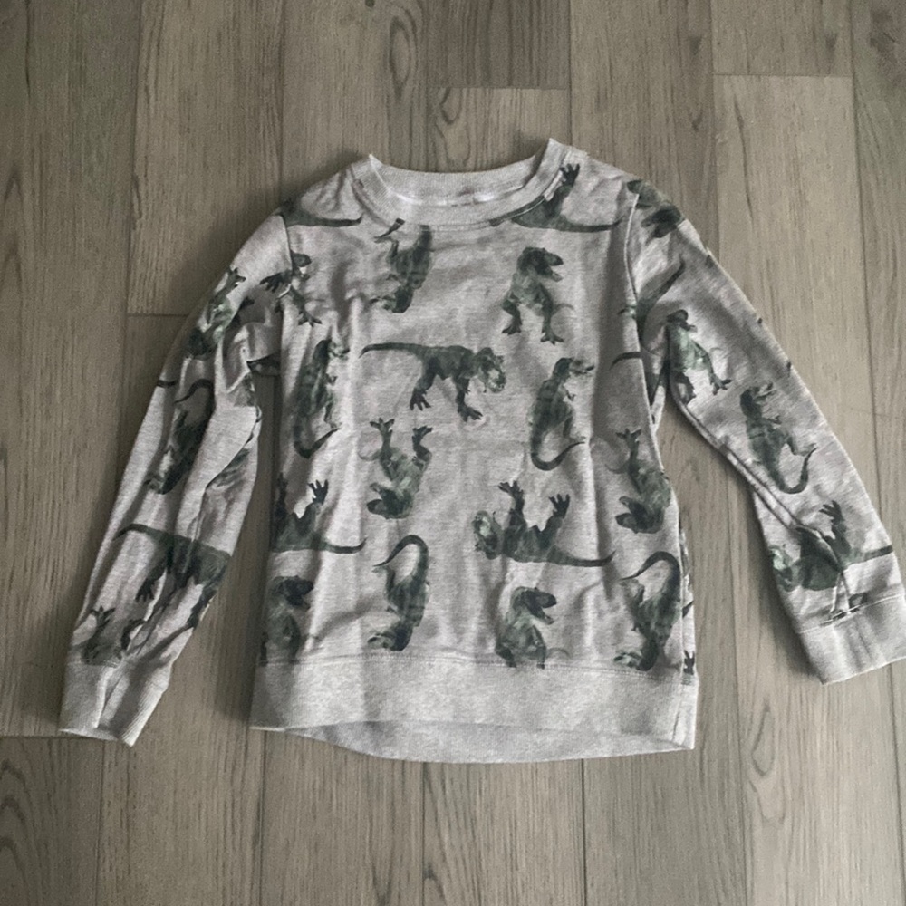 Boys dinosaur sweatshirt. Worn on a couple times. In great condition.